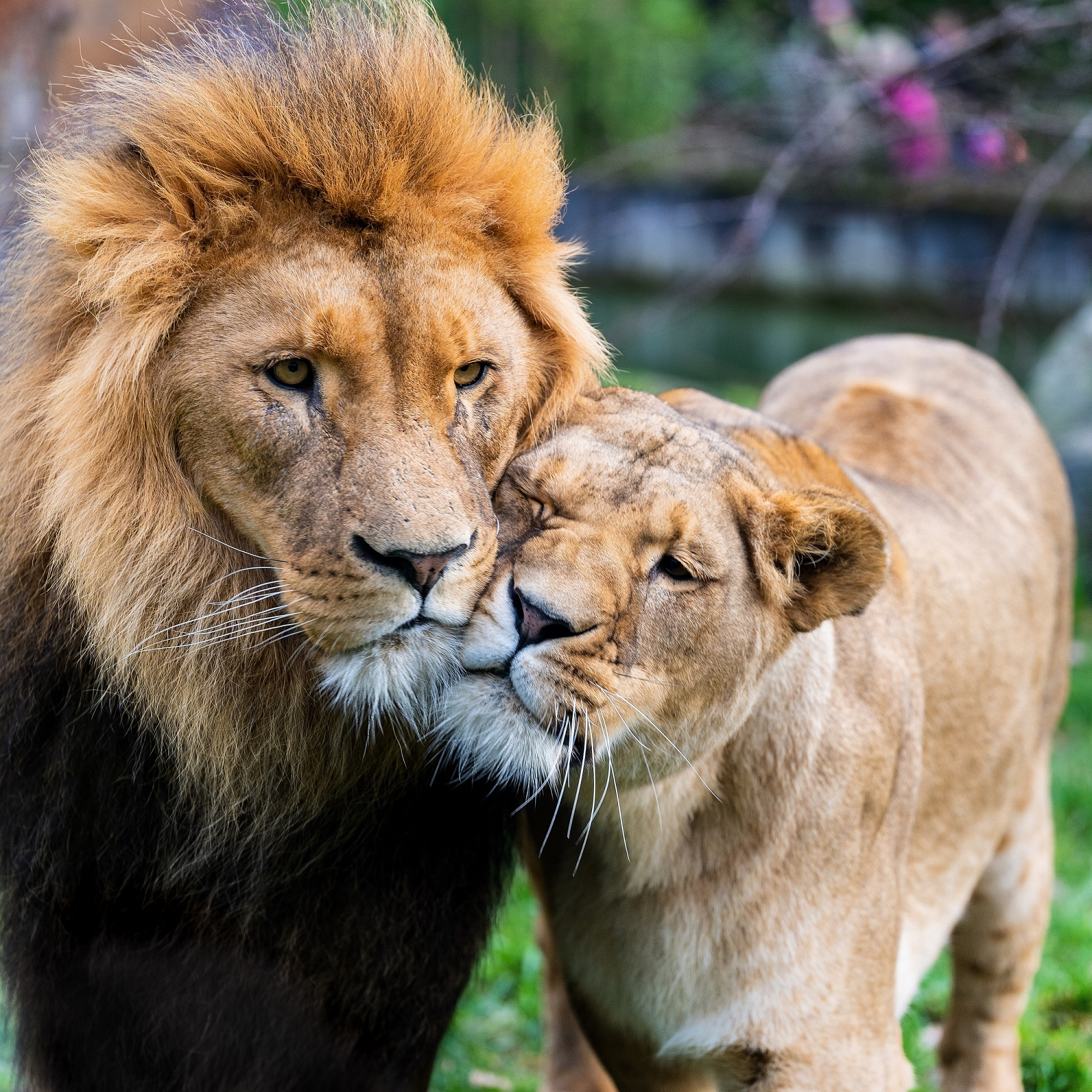 Romantischer Valentinsabend