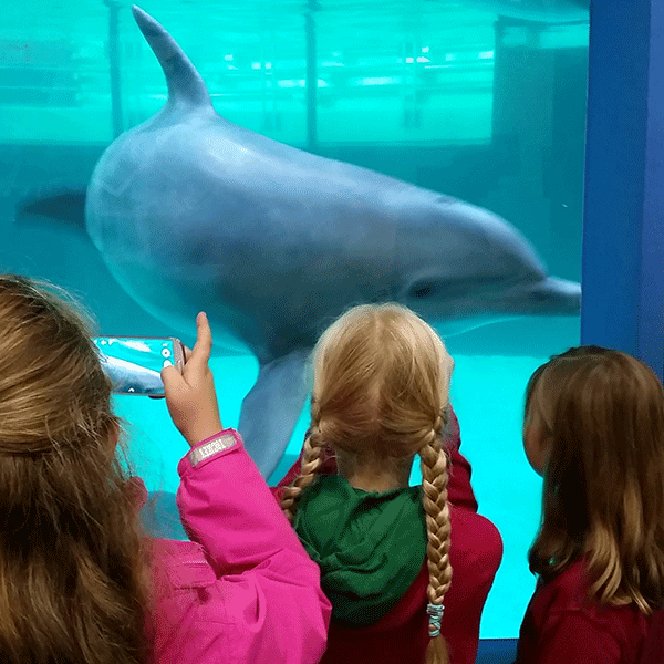 Kindergeburtstag mit Zoobegleiter