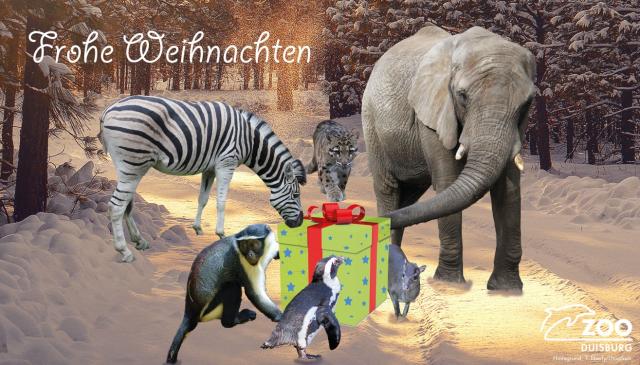 Design: Weihnachten