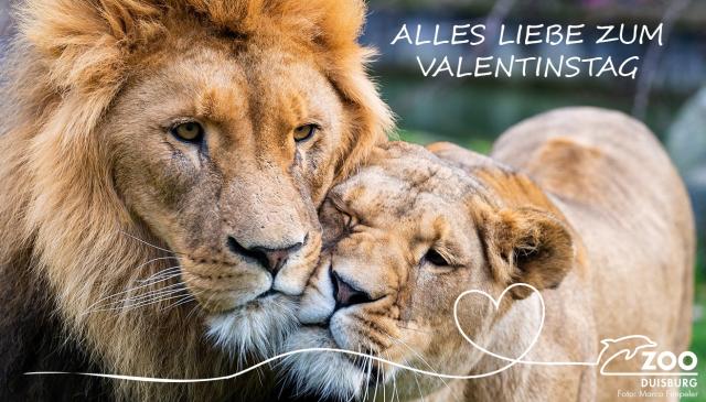 Alles Liebe zum Valentinstag